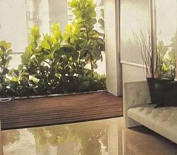 Angullia Park Residences @ Orchard (D10), Apartment #467711041